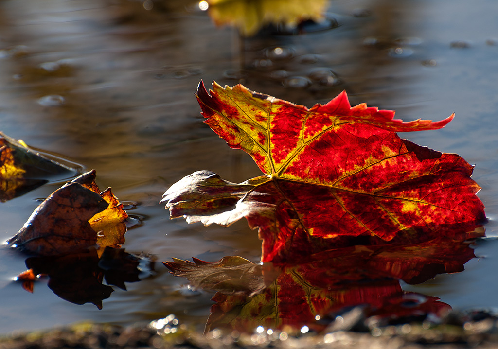 DSC3897 hsw