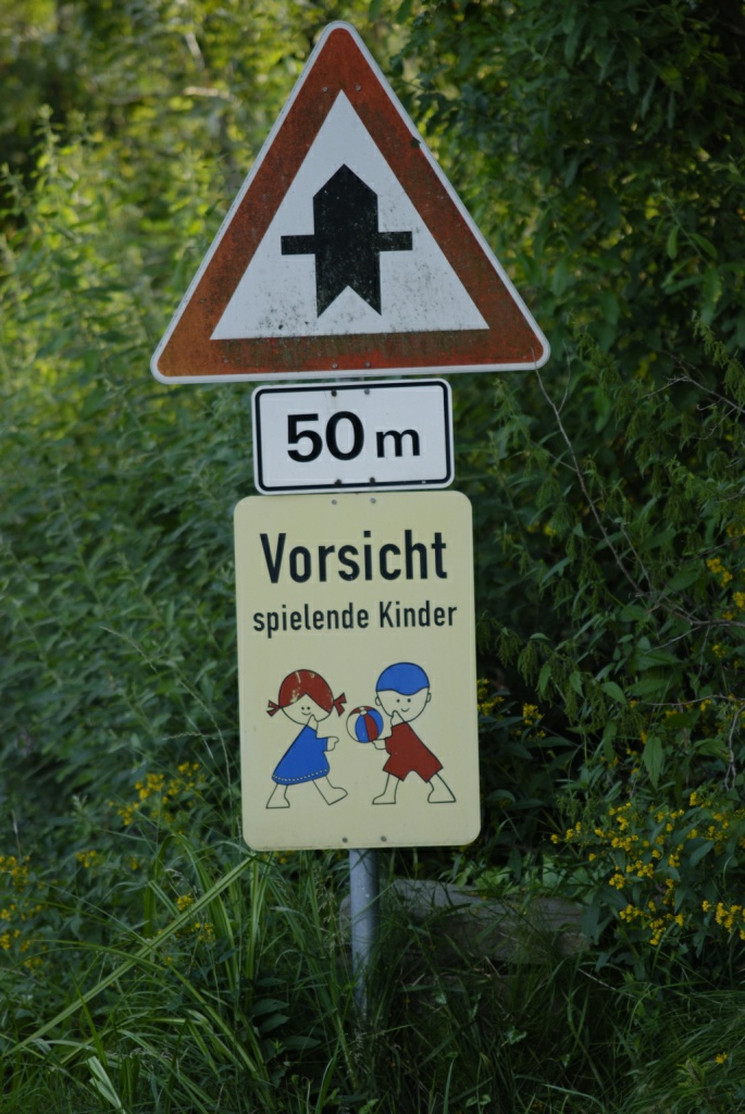 DSC3928 001