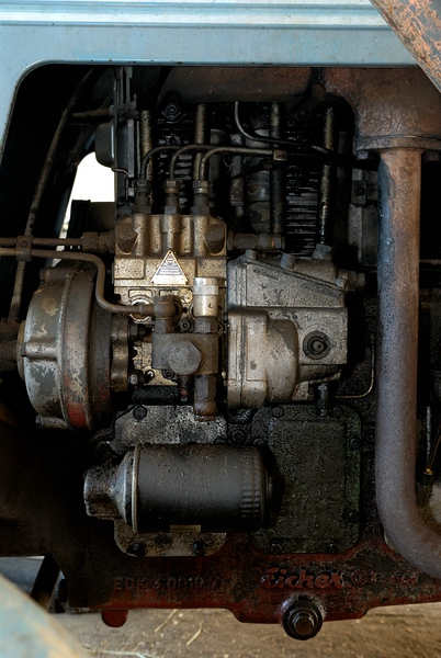 DSC3964