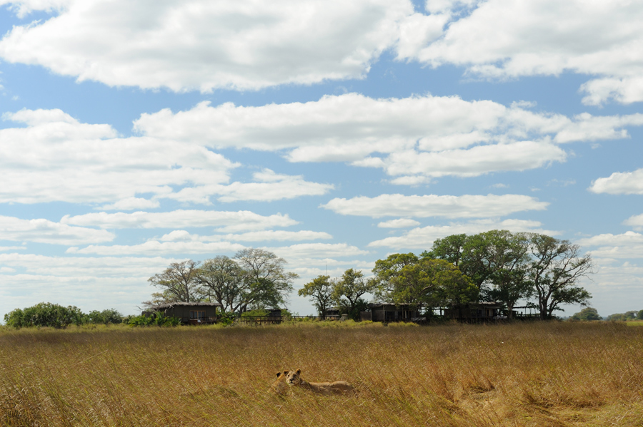 DSC3985 NFF