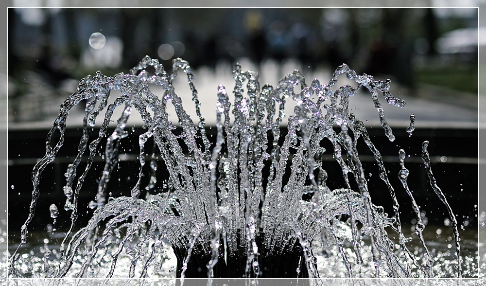 DSC4232 nff