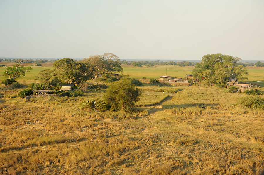 DSC4286 NFF
