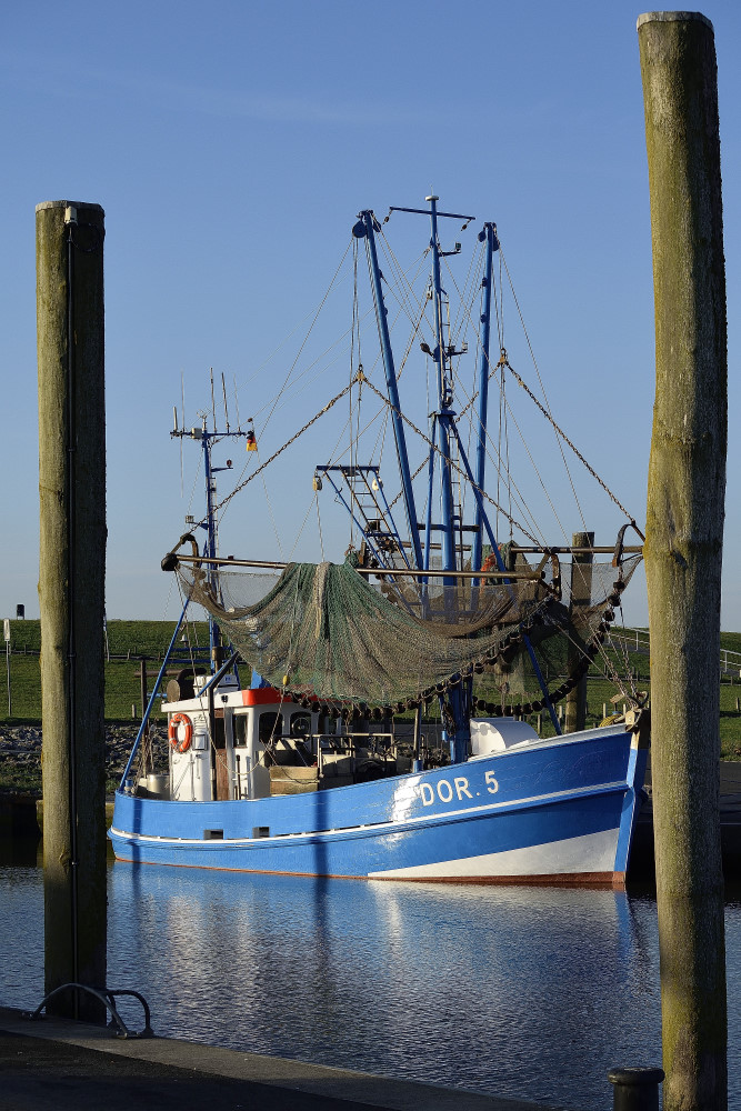 DSC4666 01