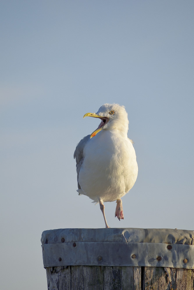 DSC4674 01