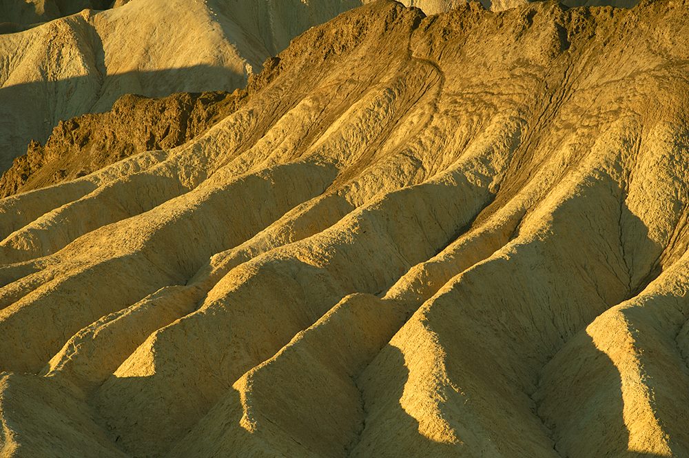 DSC4761