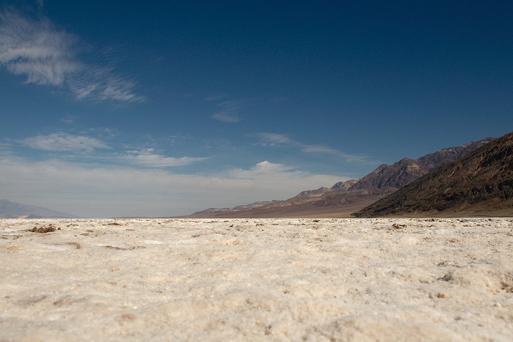 DSC4791