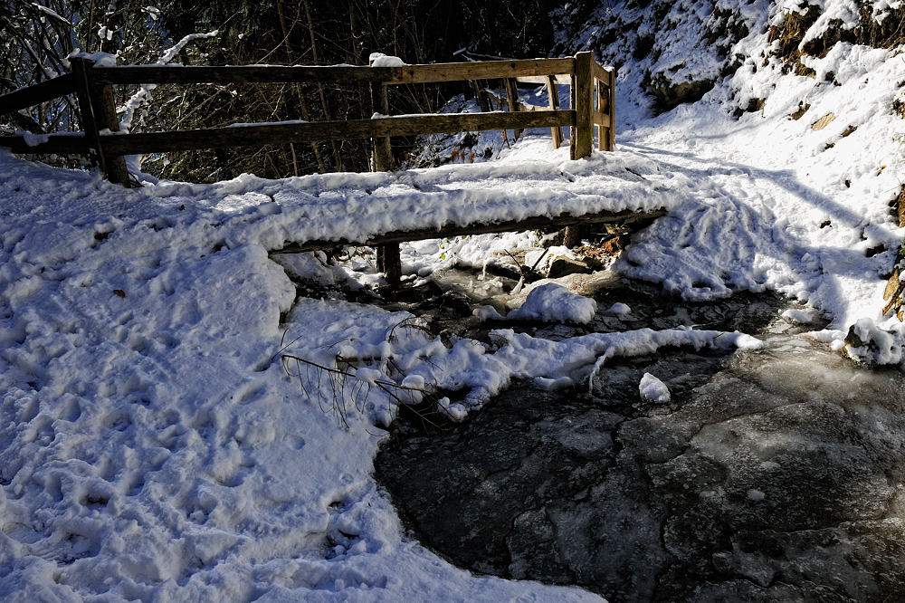 DSC4947