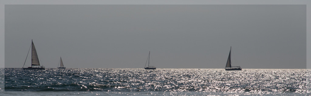 DSC5119