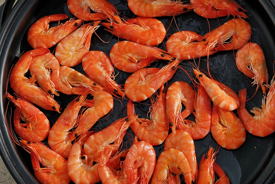DSC5215kl