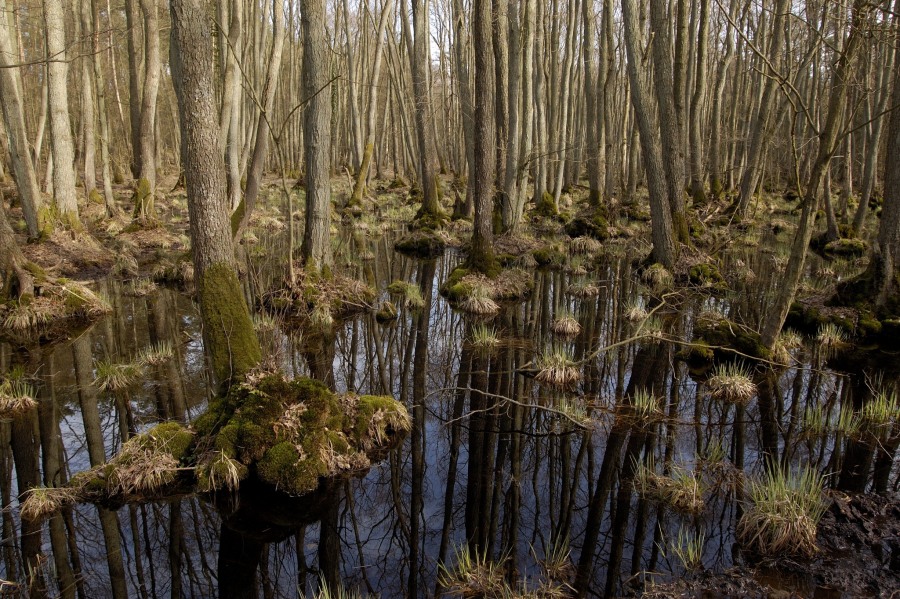 DSC5262 01_x