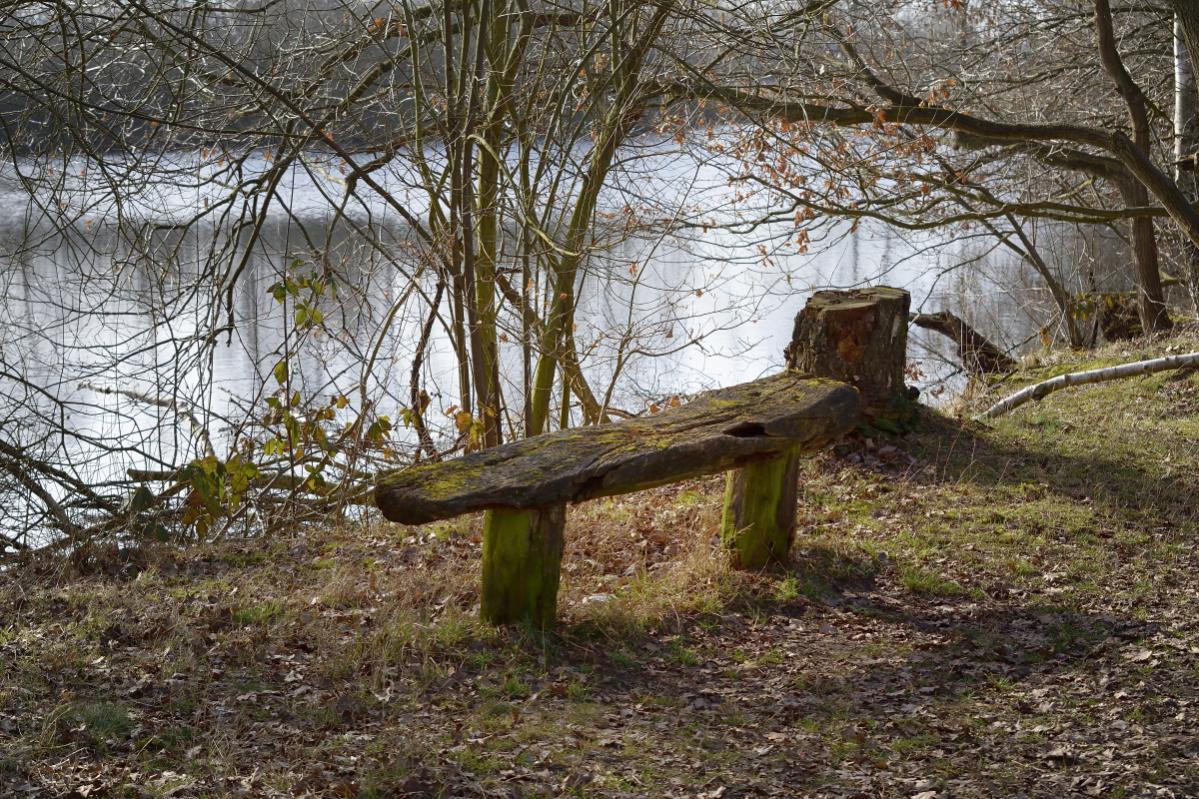 DSC5516 00001