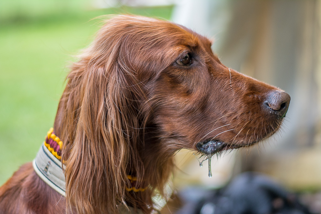 DSC5591 1
