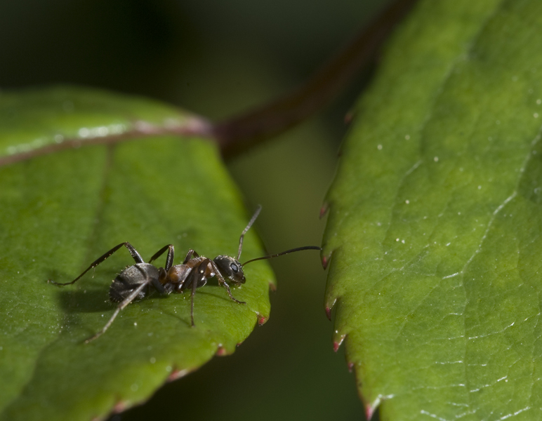 DSC5808
