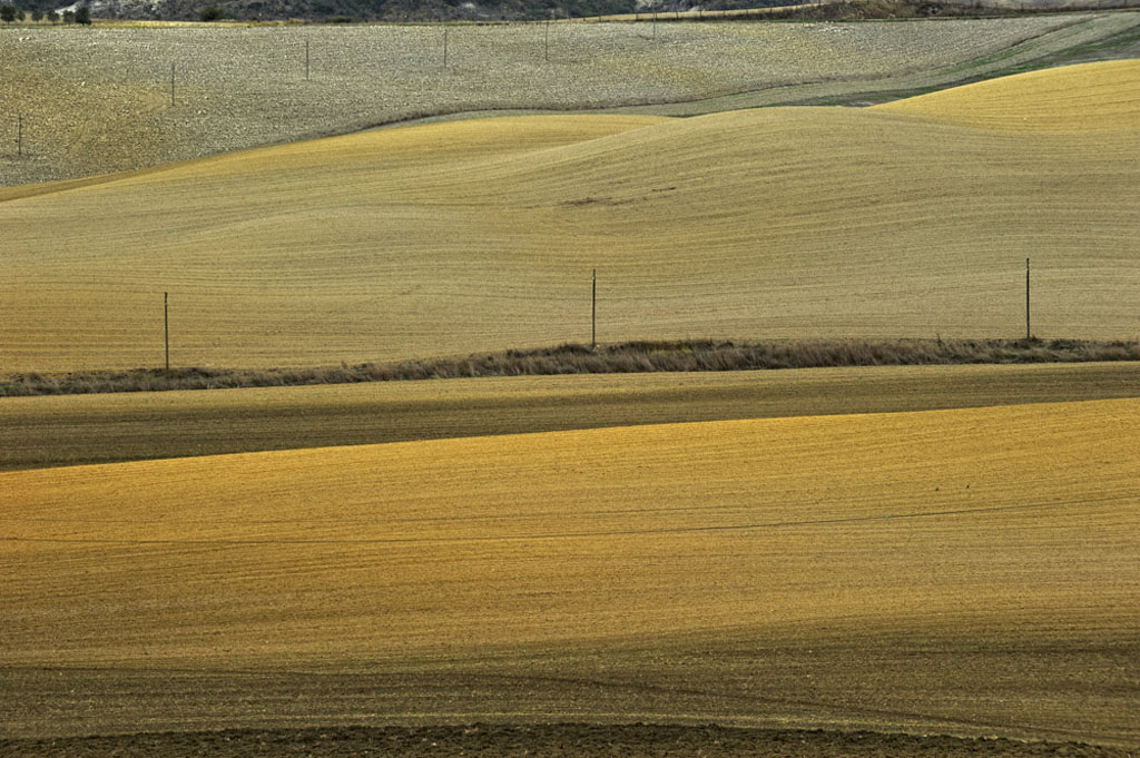 DSC5816 5775 DSC5816ww