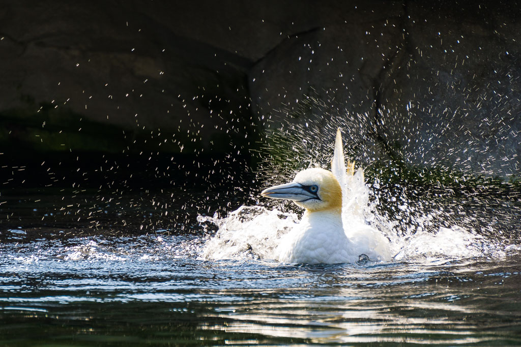 DSC5821