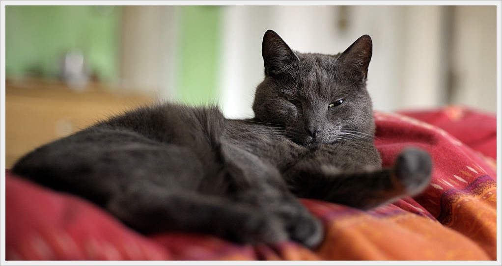 DSC5903 nff