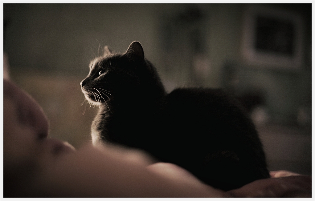 DSC5912 nff