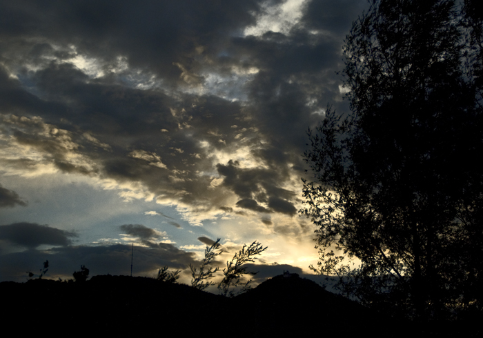 DSC6447 f