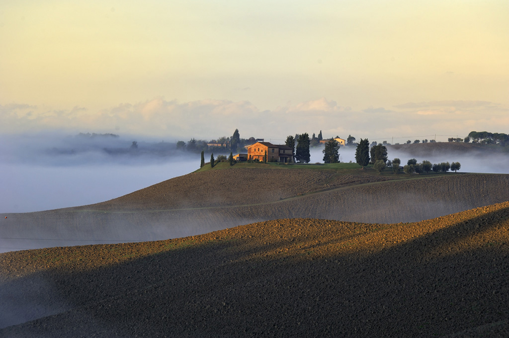 DSC6537 5498 DSC6537ww