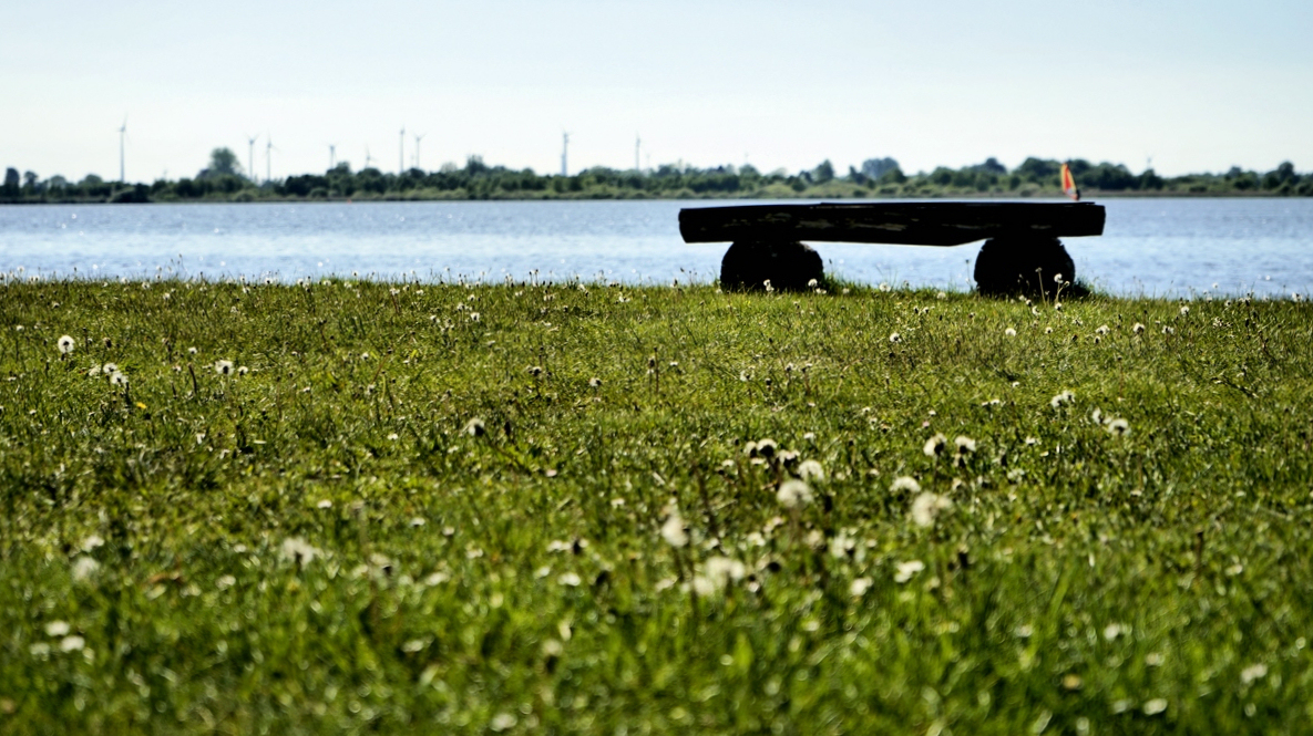 DSC7023 Die Bank.jpg