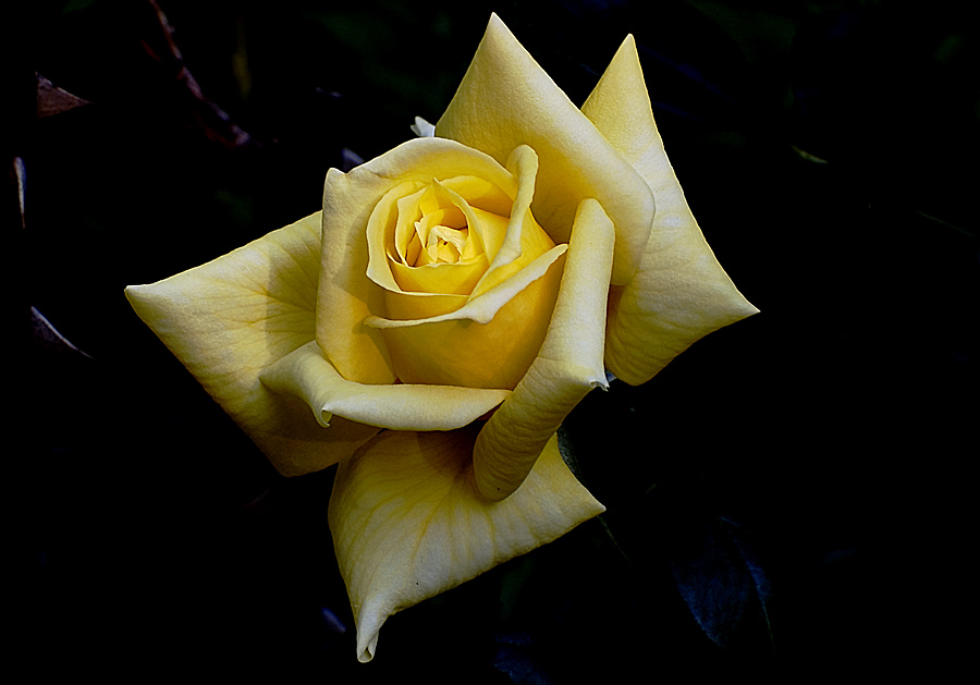 DSC7263