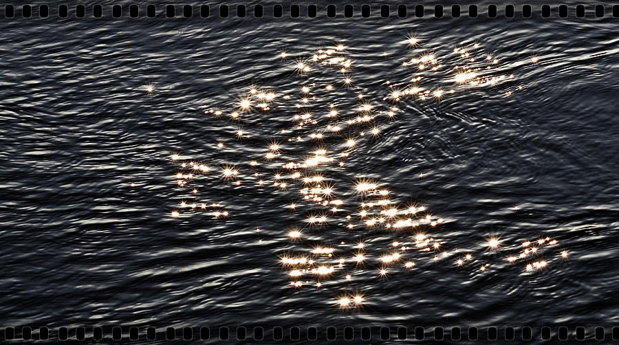 DSC7340 nff