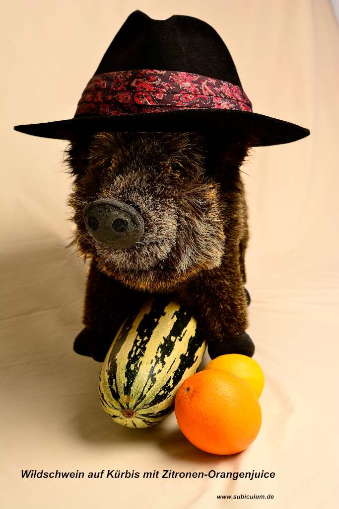 DSC7453 wildschwein mit 075