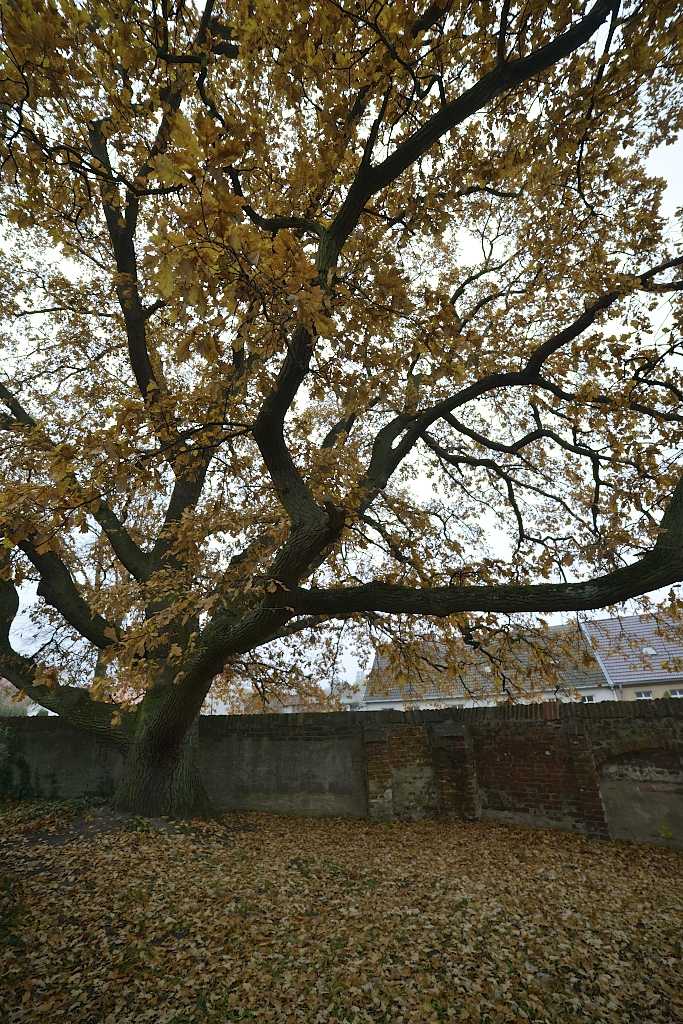 DSC7523 01