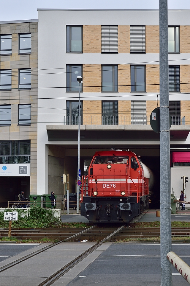 DSC7563_klein.jpg