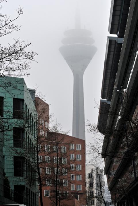 DSC7646 111