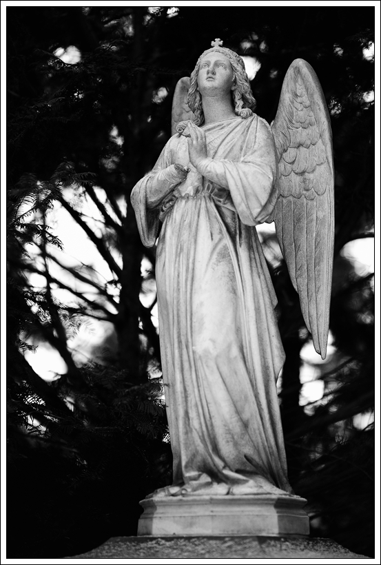 DSC7805 nff