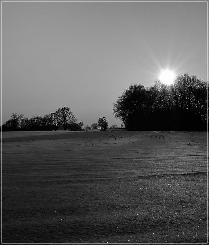 DSC8552 nff