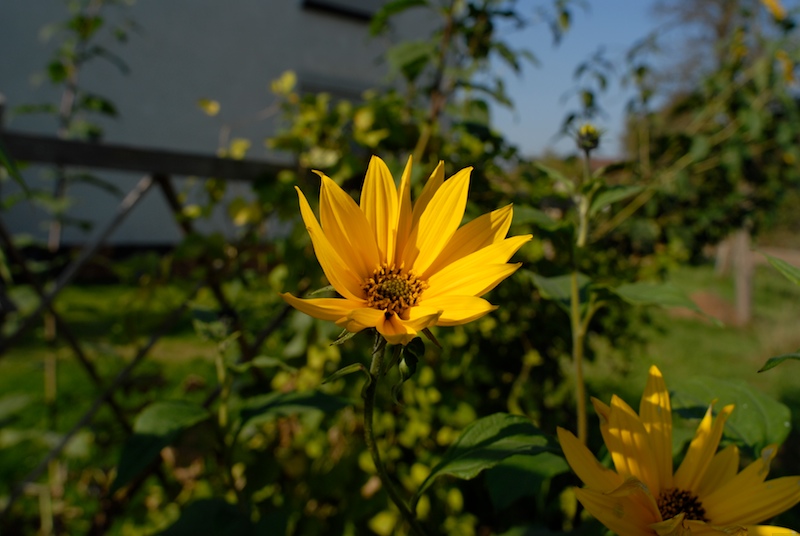 DSC8582