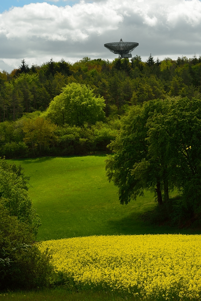 DSC8640_klein.jpg