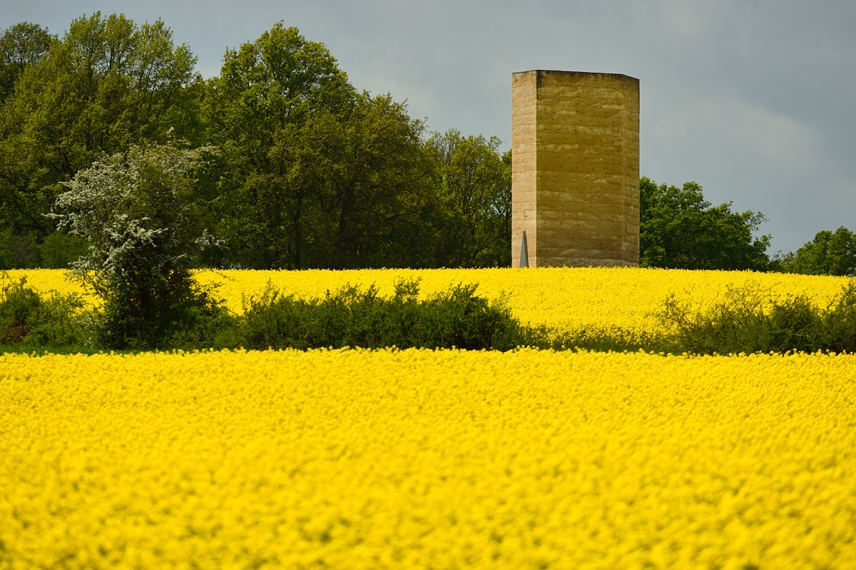 DSC8668_klein.jpg