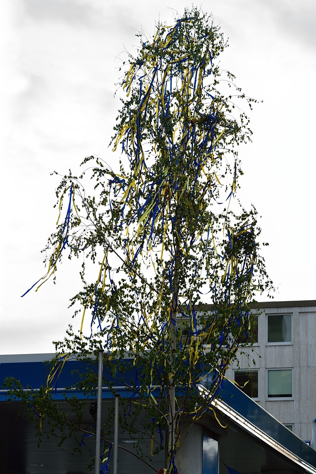 DSC8758_klein.jpg