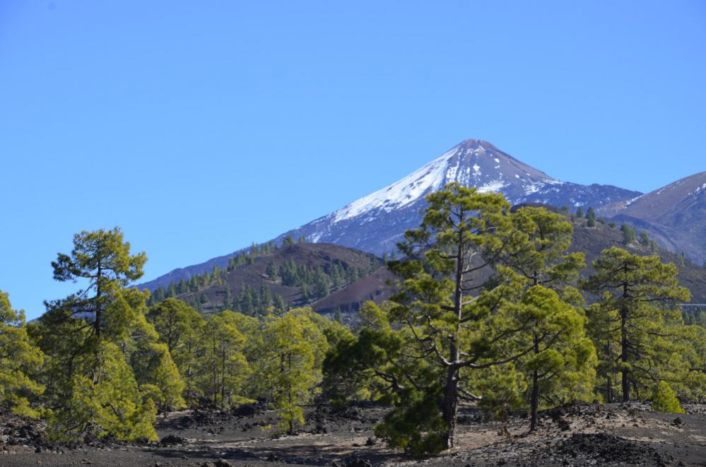 DSC9052 132

Der Teide hat noch etwas Schnee- so gefällt er mir besonders gut!