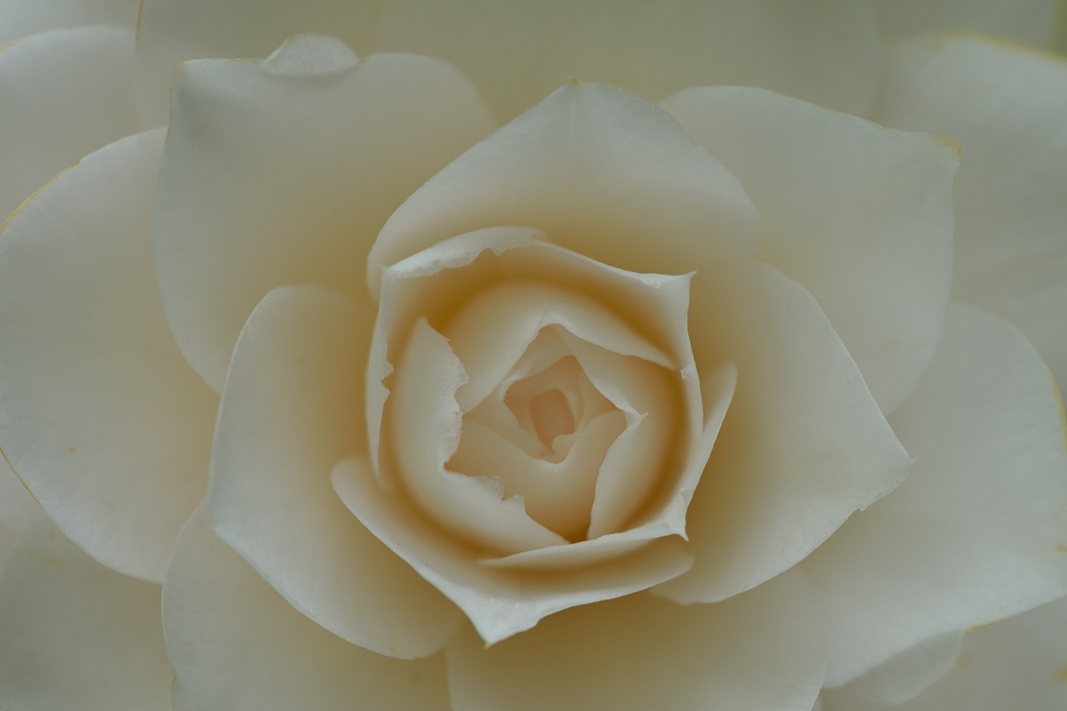 DSC9175_klein.jpg