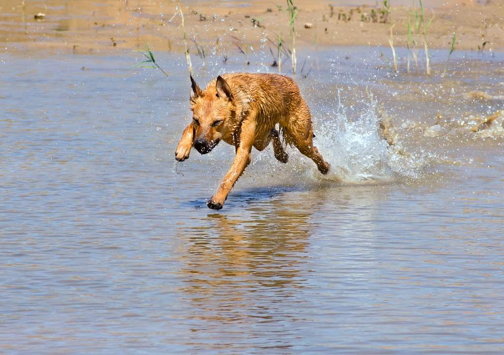 DSC9644c