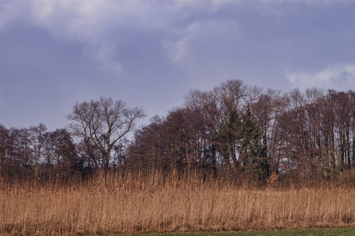 DSC_0001#_335#.JPG