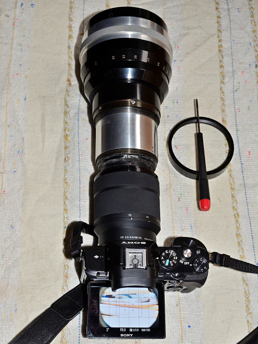 DSC_0004.jpg