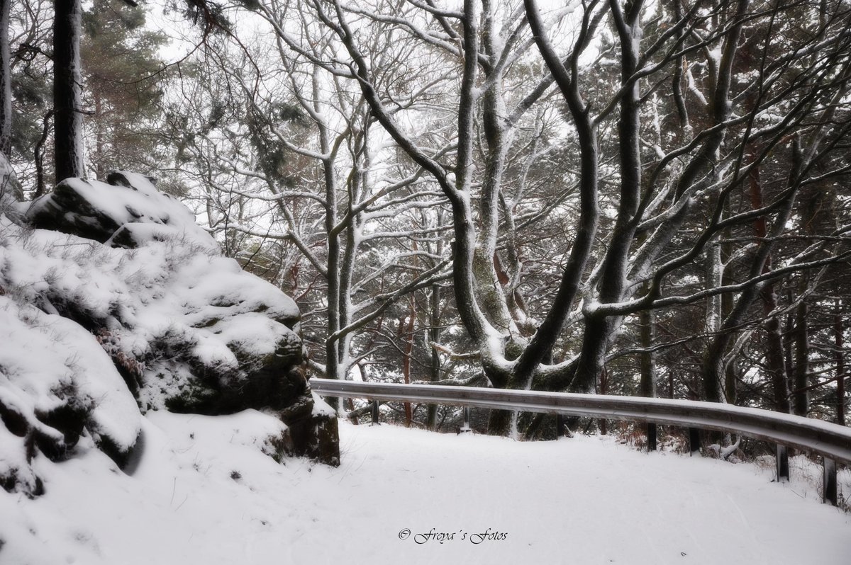 DSC_0006.jpg