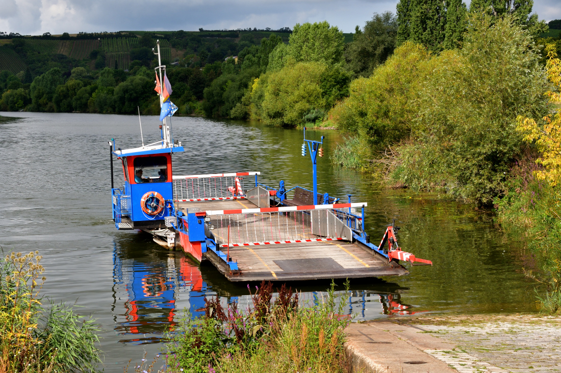 DSC_0024_00001_02.jpg