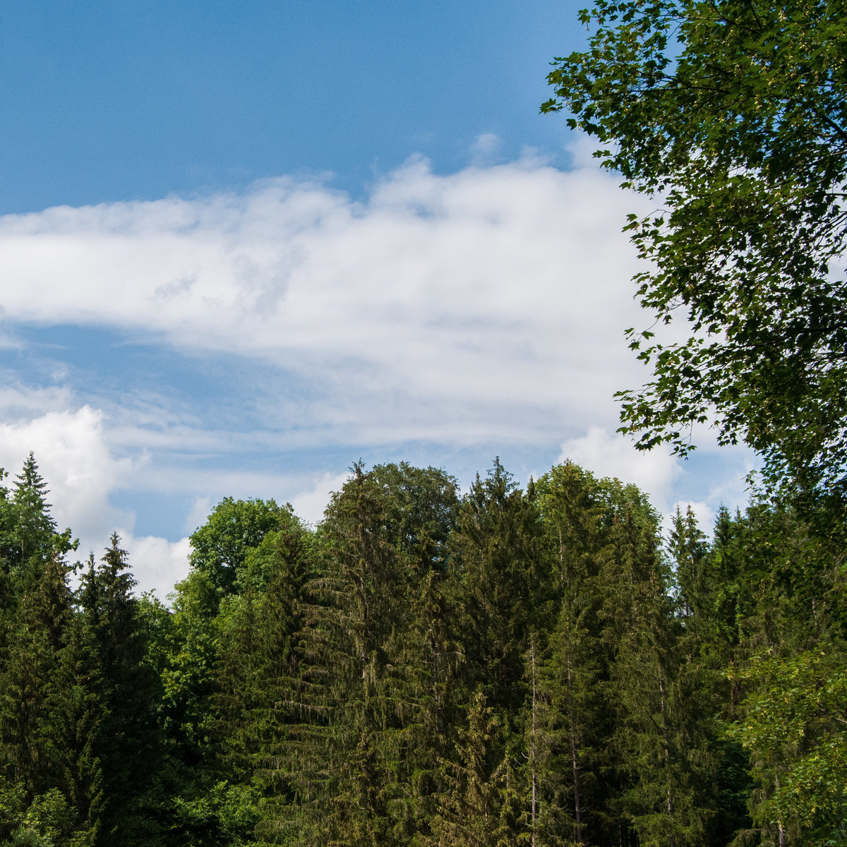 DSC_0030.jpg