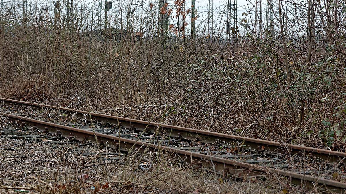 DSC_0042_DxOPAxl.jpg