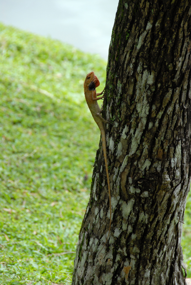 DSC_0059.jpg