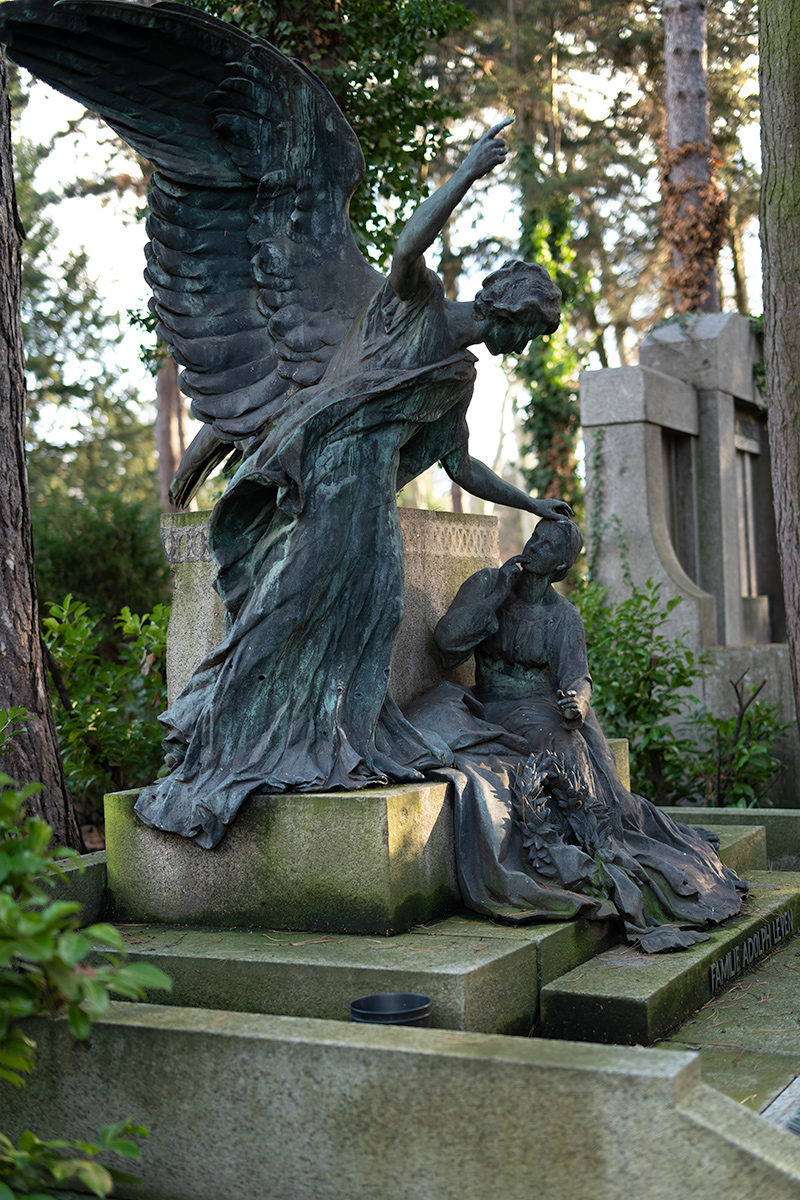 DSC_0072.jpg