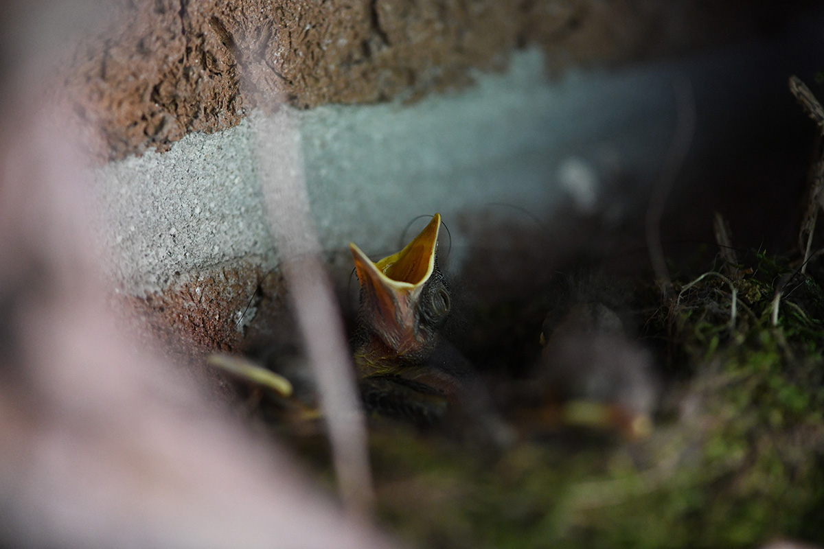 DSC_0075.JPG