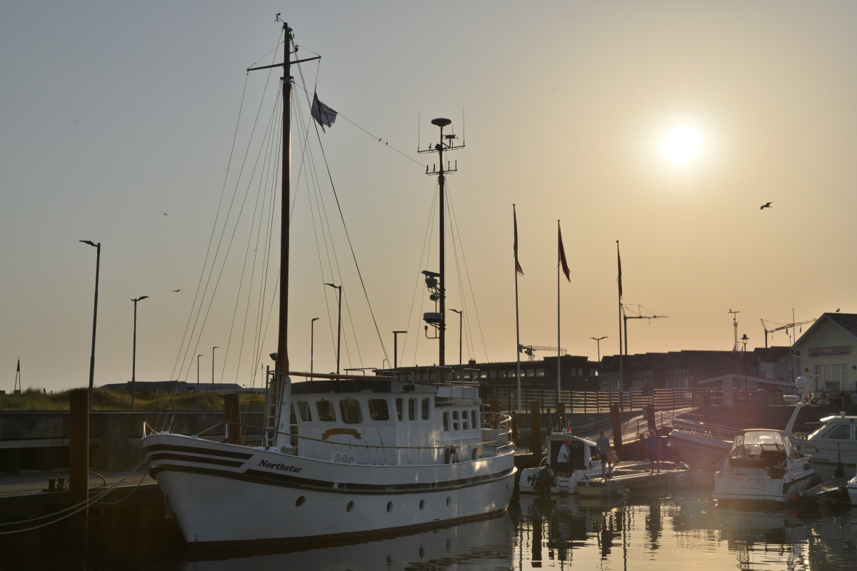 DSC_0094.JPG