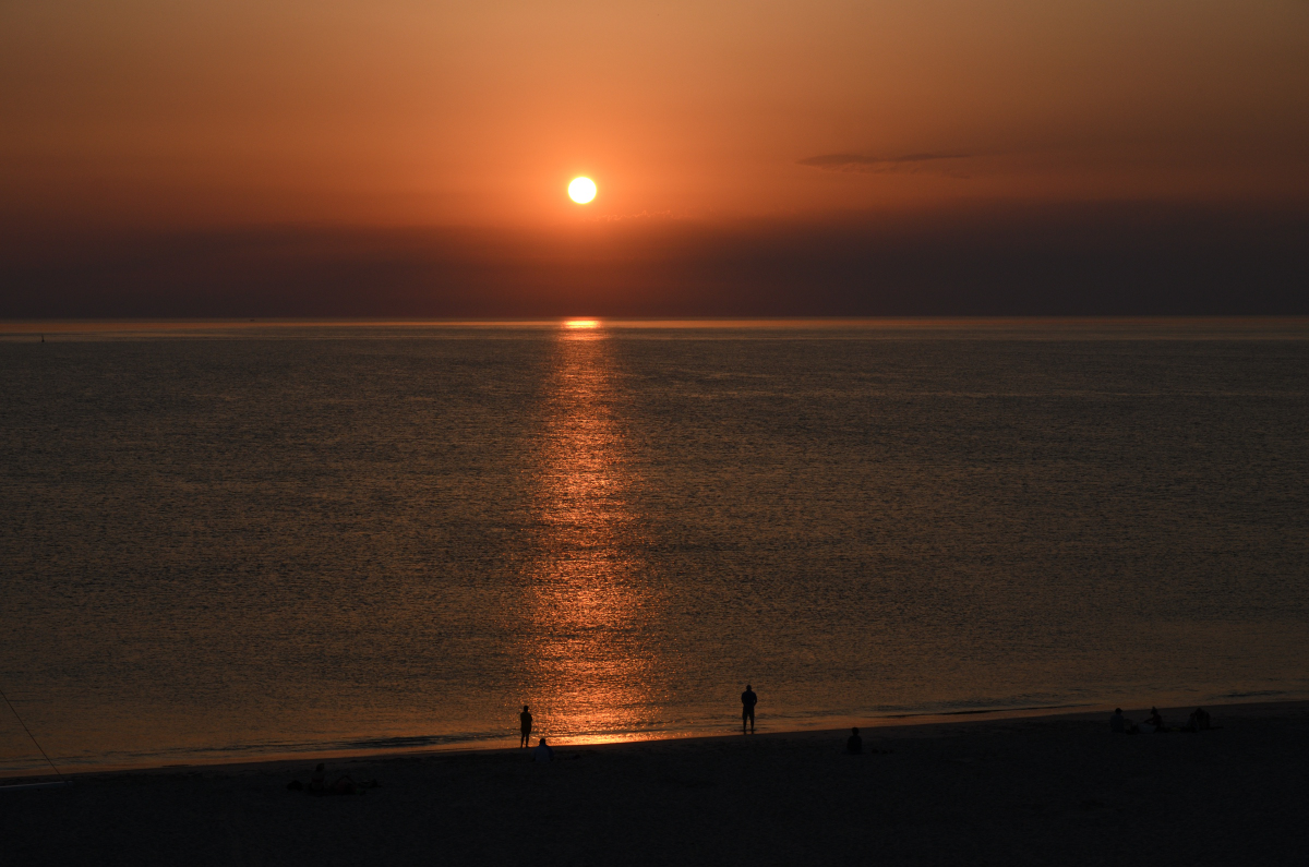 DSC_0097.JPG